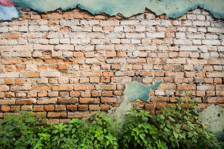 混凝土裂缝和绿色植物的旧砖墙