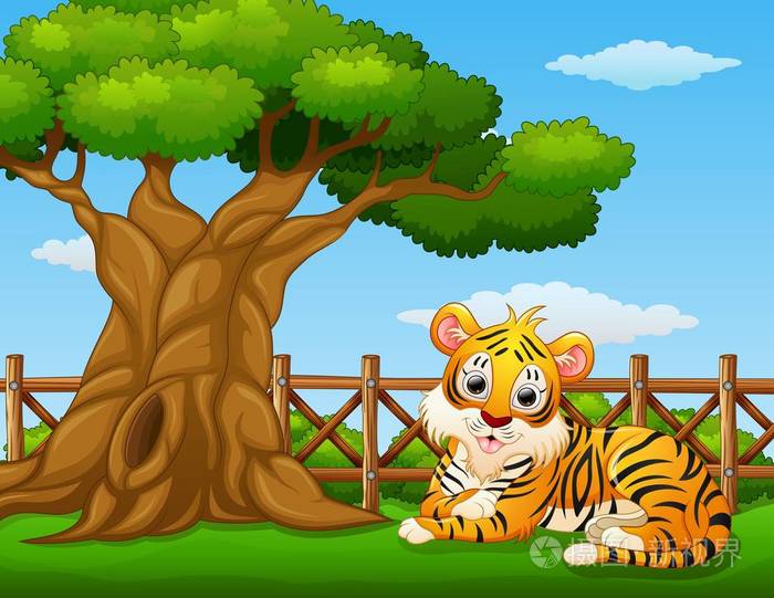 在围墙里面的一棵树旁边的动物老虎