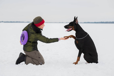在雪地里训练和玩狗杜宾