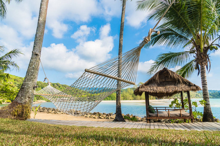 美丽的海岛天堂与吊床在海滩和海在椰子棕榈树附近假日假期概念