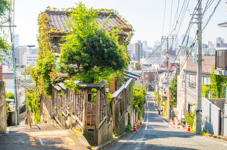 Fujimizaka 边坡，东京，日本