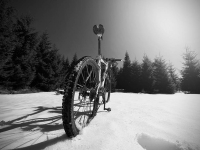 骑自行车在冬天下雪山在大轮胎轮子山地自行车。阳光明媚的冬日