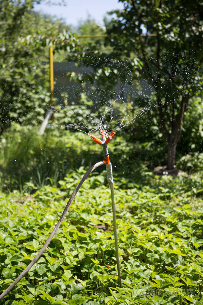 自动喷水灭火系统, 以绿色草坪为背景浇水。特写