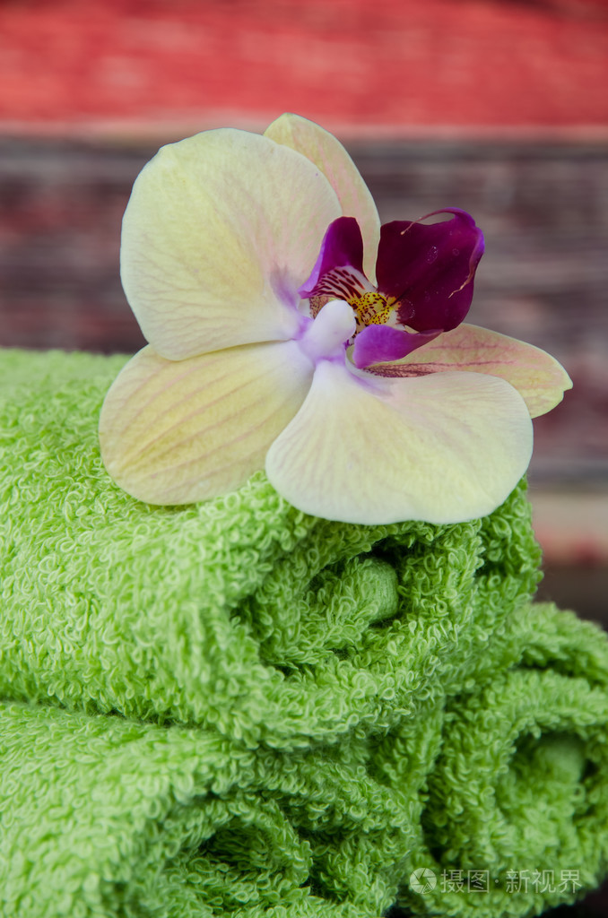 兰花花和绿色毛巾