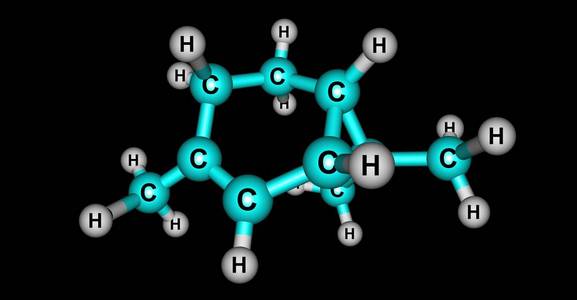 丙烷的球棍模型蒈烯或 delta3carene 是由熔融环己烯和丙烷环组成的笼