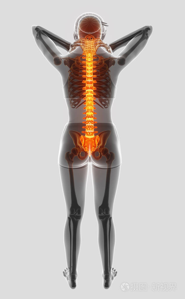3d插图的女性感觉背部疼痛