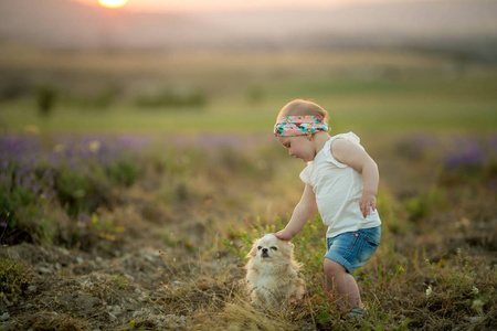 可爱的小女孩与狗在田野上日落