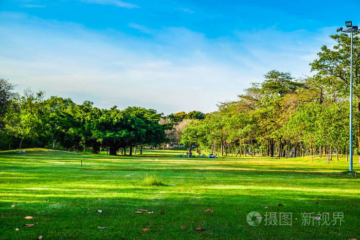 绿色公园的风景与草甸