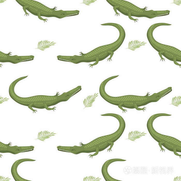 卡通绿色鳄鱼危险捕食者和澳大利亚野生动物河爬行动物的食肉动物短吻鳄与鳞片牙齿平面矢量图