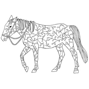 马在孤立的白色背景上的黑色涂鸦花艺设计