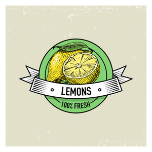 柠檬复古，手绘新鲜水果背景 夏天植物 素食主义者和有机柑桔等，刻