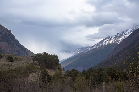 山风景。美丽的景色风景如画的峡谷, 与高山的全景。北高加索的性质, 在山上休息