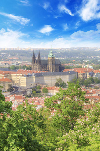 美丽的景色圣圣维特大教堂, 布拉格城堡和马拉麦卡在布拉格, 捷克共和国
