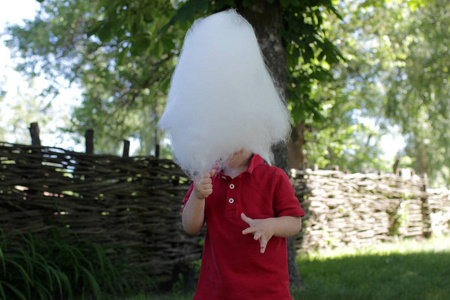 滑稽的小男孩吃棉花糖在公园, 他掩藏在他的甜点之后, 暑假假期, 愉快的夏天概念