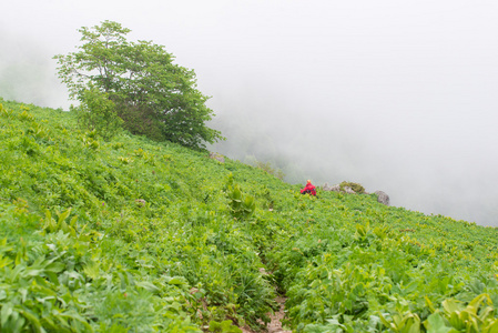 山区旅游旅行