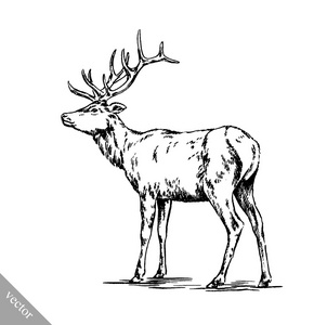 矢量图鹿画用舌头画长颈鹿的水彩画圣诞贺卡与手画鹿手绘素描画壳与