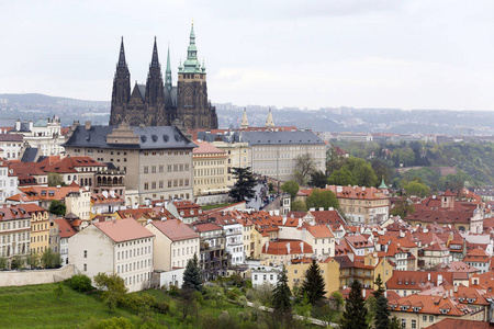 查看上春天布拉格城市与绿色的自然和开花树木，捷克共和国