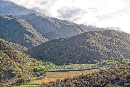 Swartberg Matjiesvlei 谷清晨场景