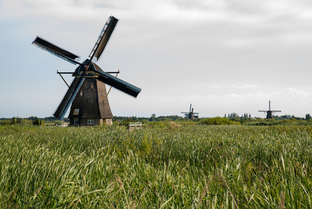 历史在荷兰风车