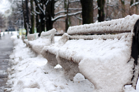 在公园里的长椅上覆盖着雪。按横向的观点
