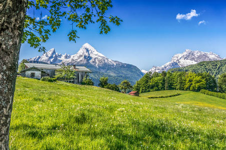 与传统的农场房子在阿尔卑斯山的田园夏日风景