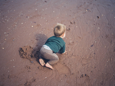 小婴儿爬行在海滩上
