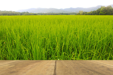 以稻田为背景的绿山木桌