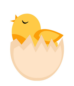 雏鸟破壳而出，从鸡蛋 黄鸡图标 平面样式。白色背景上的孤立。矢量插图，剪贴画