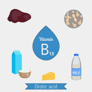 维生素 B13 或乳清酸分布图