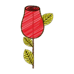彩色铅笔绘图的叶和茎的红玫瑰花蕾