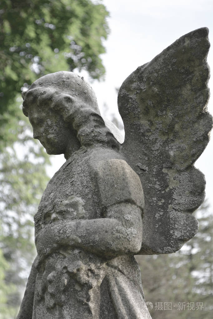 古老的悲伤天使在墓地上对着树和树叶