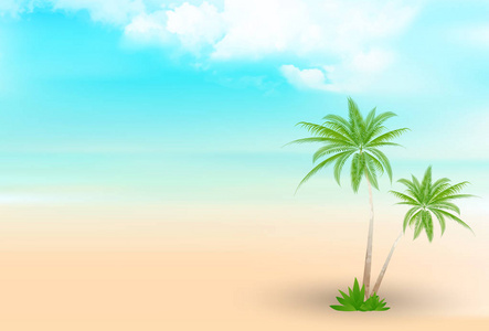 初夏风光棕榈夏日风光背景照片