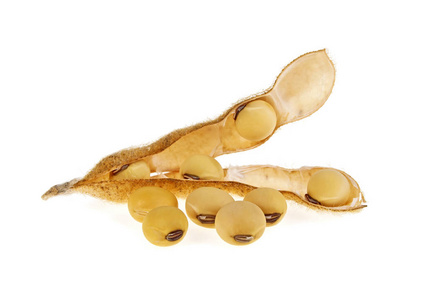 大豆豆荚隔离在白色背景上.豆浆蛋白质植物照片