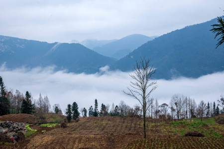 湖北巴东大兵河谷