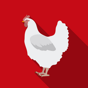 鸡在白色背景上孤立的平盘风格的图标。鸟的符号股票矢量图