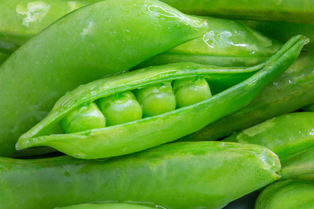 一束新鲜的绿色糖捕捉豌豆豆荚与一个开放和豌豆暴露