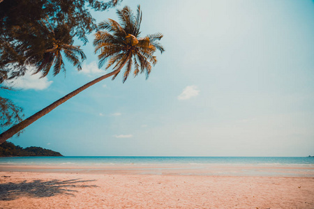 美丽的自然热带海滩和海与椰子棕榈树 o