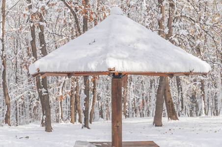 雪和森林城市公园背景覆盖的木伞