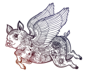 猪身上部位图片