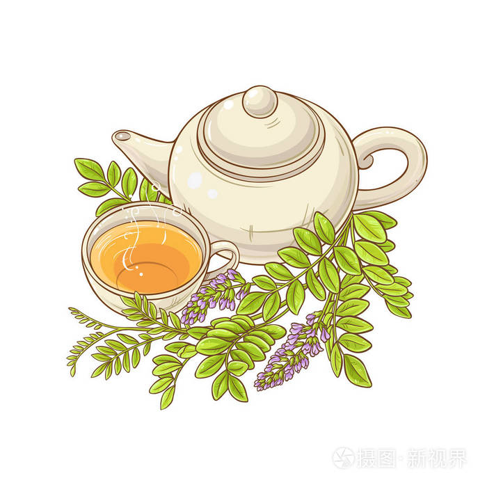 茶壶中的甘草茶白色背景插图