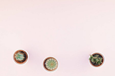 创意扁平的顶部视图小盆与装饰仙人掌植物与复制空间在千年粉红纸背景简约风格。女性博客, 社交媒体的时髦模板