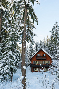 树林里有雪的冬天里的小屋