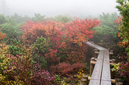 日本秋季 Mt.Nasu,tochigi,tourism