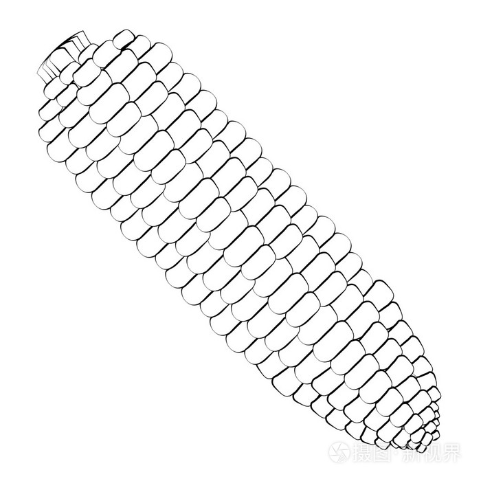黑色轮廓矢量玉米插画-正版商用图片0oxfp9-摄图新视界