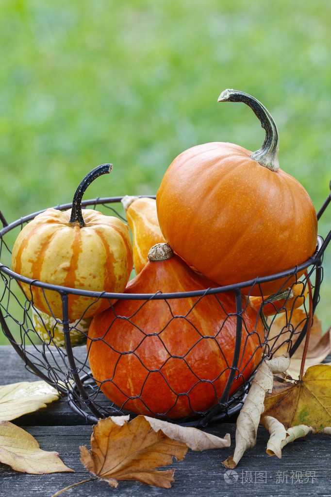 一篮子的南瓜