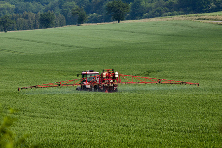 拖拉机在大绿色的原野上喷洒农药，与年轻的粮食