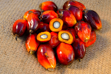 新鲜的油棕榈果,选择性聚焦的特写照片