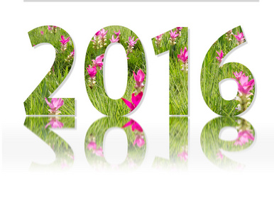 新的一年 2016 年自然双曝光照片