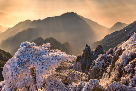 日出黄山国家公园的山峰之上