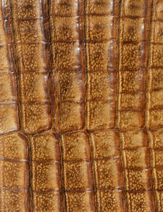 棕色鳄鱼皮革的背景